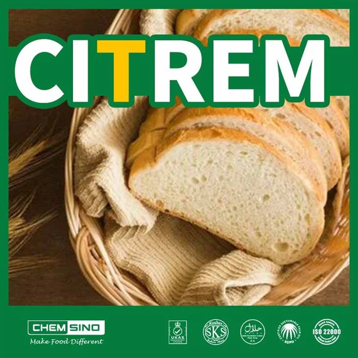 CITREM 29